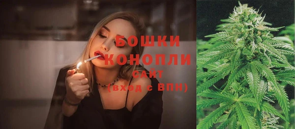 гидра Баксан