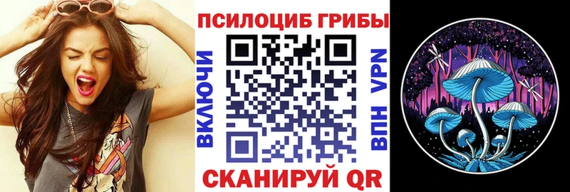 Галлюциногенные грибы Magic Shrooms  Пестово 
